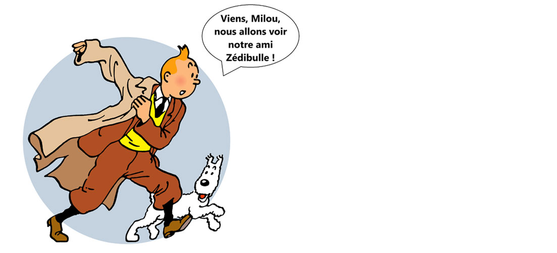 tintin-milou-zedibulle
